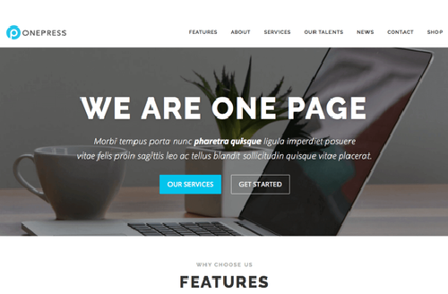 Single Page Website Designing Services