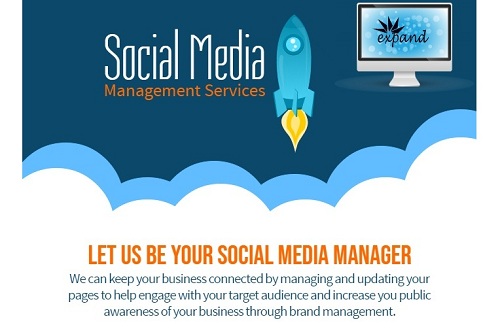 Social Media Business Pages Management Services